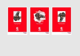 Communication Design