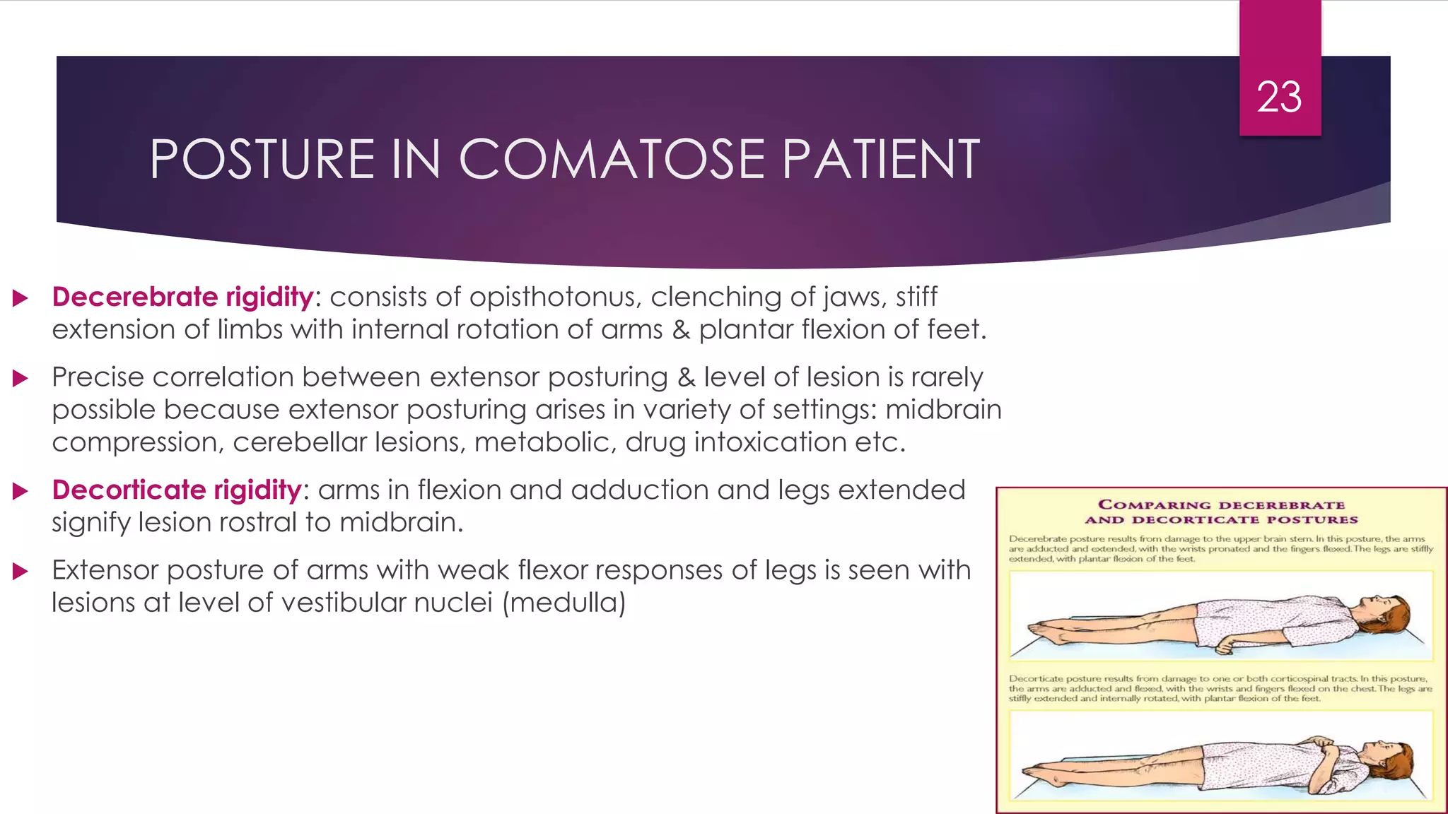 POSTURE IN COMATOSE PATIENT
 Decerebrate rigidity: consists of opisthotonus, clenching of jaws, stiff
extension of limbs with internal rotation of arms & plantar flexion of feet.
 Precise correlation between extensor posturing & level of lesion is rarely
possible because extensor posturing arises in variety of settings: midbrain
compression, cerebellar lesions, metabolic, drug intoxication etc.
 Decorticate rigidity: arms in flexion and adduction and legs extended
signify lesion rostral to midbrain.
 Extensor posture of arms with weak flexor responses of legs is seen with
lesions at level of vestibular nuclei (medulla)
23
 