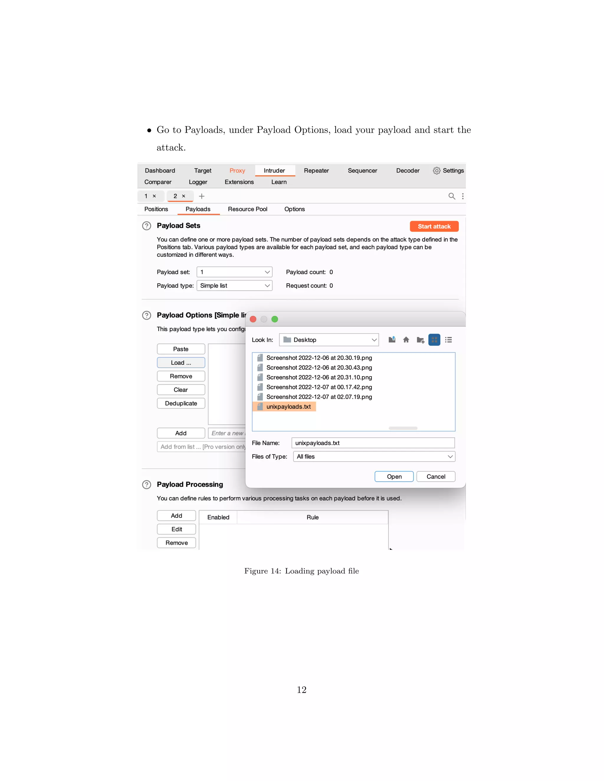 • Go to Payloads, under Payload Options, load your payload and start the
attack.
Figure 14: Loading payload file
12
 