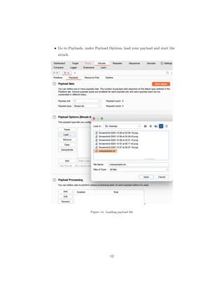 • Go to Payloads, under Payload Options, load your payload and start the
attack.
Figure 14: Loading payload file
12
 