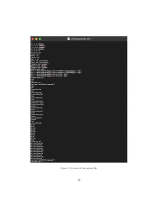 Figure 15: Preview of the payload file.
13
 