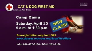 CAT & DOG FIRST AID


Camp Zama
Saturday, April 20
9 a.m. to 1:30 p.m.
Pre-registration required: $45
www.classes.redcross.org/Saba/Web/Main

Info: 046-407-3166 / DSN: 263-3166
 