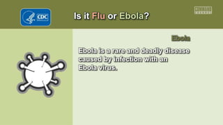 Is it Flu or Ebola?
Ebola
Ebola is a rare and deadly disease
caused by infection with an
Ebola virus.
 