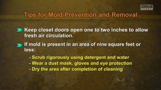 Keep closet doors open one to two inches to allowKeep closet doors open one to two inches to allow
fresh air circulation.fresh air circulation.
If mold is present in an area of nine square feet orIf mold is present in an area of nine square feet or
less:less:
- Scrub rigorously using detergent and water- Scrub rigorously using detergent and water
- Wear a dust mask, gloves and eye protection- Wear a dust mask, gloves and eye protection
- Dry the area after completion of cleaning- Dry the area after completion of cleaning
 