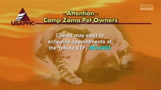 Clients may elect toClients may elect to
schedule appointments atschedule appointments at
the Yokota VTF:the Yokota VTF: 263-4363263-4363..
 