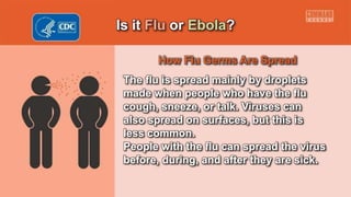 Is it Flu or Ebola?
How Flu Germs Are Spread
The flu is spread mainly by droplets
made when people who have the flu
cough, sneeze, or talk. Viruses can
also spread on surfaces, but this is
less common.
People with the flu can spread the virus
before, during, and after they are sick.
 