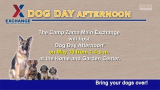 The Camp Zama Main ExchangeThe Camp Zama Main Exchange
will hostwill host
““Dog Day Afternoon”Dog Day Afternoon”
on May 10 from 1-4 p.m.on May 10 from 1-4 p.m.
at the Home and Garden Center.at the Home and Garden Center.
 