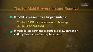 If mold is present on a larger surface:If mold is present on a larger surface:
Contact DPW for assistance in cleaningContact DPW for assistance in cleaning
263-4274 or 263-4613263-4274 or 263-4613
If mold is on permeable surfaces (i.e., carpet orIf mold is on permeable surfaces (i.e., carpet or
ceiling tiles), consider replacement.ceiling tiles), consider replacement.
 