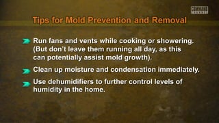 Run fans and vents while cooking or showering.Run fans and vents while cooking or showering.
(But don’t leave them running all day, as this(But don’t leave them running all day, as this
can potentially assist mold growth).can potentially assist mold growth).
Clean up moisture and condensation immediately.Clean up moisture and condensation immediately.
Use dehumidifiers to further control levels ofUse dehumidifiers to further control levels of
humidity in the home.humidity in the home.
 