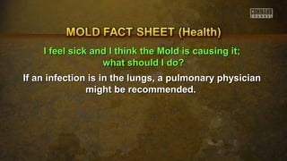 II ffeeeell ssiicckk aanndd II tthhiinnkk tthhee MMoolldd iiss ccaauussiinngg iitt;; 
wwhhaatt sshhoouulldd II ddoo?? 
If an infection is in the lungs, a pulmonary pphhyyssiicciiaann 
mmiigghhtt bbee rreeccoommmmeennddeedd.. 
 