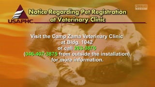 VViissiitt tthhee CCaammpp ZZaammaa VVeetteerriinnaarryy CClliinniicc 
aatt Bllddgg.. 11004422 
oorr ccaallll 226633--33887755 
((004466--440077--33887755 ffrroomm oouuttssiiddee tthhee iinnssttaallllaattiioonn)) 
ffoorr mmoorree iinnffoorrmmaattiioonn.. 
 