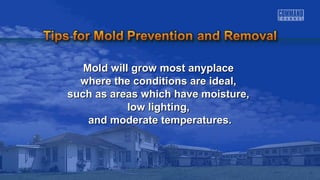 Mold will ggrrooww mmoosstt aannyyppllaaccee 
wwhheerree tthhee ccoonnddiittiioonnss aarree iiddeeaall,, 
ssuucchh aass aarreeaass wwhhiicchh hhaavvee mmooiissttuurree,, 
llooww lliigghhttiinngg,, 
aanndd mmooddeerraattee tteemmppeerraattuurreess.. 
 