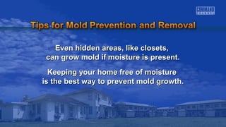 Even hidden areas, lliikkee cclloosseettss,, 
ccaann ggrrooww mmoolldd iiff mmooiissttuurree iiss pprreesseenntt.. 
KKeeeeppiinngg yyoouurr hhoommee ffrreeee ooff mmooiissttuurree 
iiss tthhee bbeesstt wwaayy ttoo pprreevveenntt mmoolldd ggrroowwtthh.. 
 