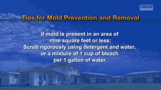 If mold is present iinn aann aarreeaa ooff 
nniinnee ssqquuaarree ffeeeett oorr lleessss:: 
SSccrruubb rriiggoorroouussllyy uussiinngg ddeetteerrggeenntt aanndd wwaatteerr,, 
oorr aa mmiixxttuurree ooff 11 ccuupp ooff bblleeaacchh 
ppeerr 11 ggaalllloonn ooff wwaatteerr.. 
 