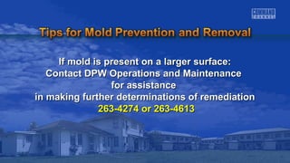 If mold is present oonn aa llaarrggeerr ssuurrffaaccee:: 
CCoonnttaacctt DDPPWW OOppeerraattiioonnss aanndd MMaaiinntteennaannccee 
ffoorr aassssiissttaannccee 
iinn mmaakkiinngg ffuurrtthheerr ddeetteerrmmiinnaattiioonnss ooff rreemmeeddiiaattiioonn 
226633--44227744 oorr 226633--44661133 
 