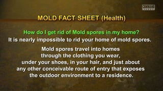 HHooww ddoo II ggeett rriidd ooff MMoolldd ssppoorreess iinn mmyy hhoommee?? 
It is nearly impossible to rid your home ooff mmoolldd ssppoorreess.. 
MMoolldd ssppoorreess ttrraavveell iinnttoo hhoommeess 
tthhrroouugghh tthhee ccllootthhiinngg yyoouu wweeaarr,, 
uunnddeerr yyoouurr sshhooeess,, iinn yyoouurr hhaaiirr,, aanndd jjuusstt aabboouutt 
aannyy ootthheerr ccoonncceeiivvaabbllee rroouuttee ooff eennttrryy tthhaatt eexxppoosseess 
tthhee oouuttddoooorr eennvviirroonnmmeenntt ttoo aa rreessiiddeennccee.. 
 