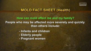 HHooww ccaann mmoolldd aaffffeecctt mmee aanndd mmyy ffaammiillyy?? 
People who may be affected more severely aanndd qquuiicckkllyy 
tthhaann ootthheerrss iinncclluuddee:: 
-- IInnffaannttss aanndd cchhiillddrreenn 
-- EEllddeerrllyy ppeeooppllee 
-- PPrreeggnnaanntt wwoommeenn 
 