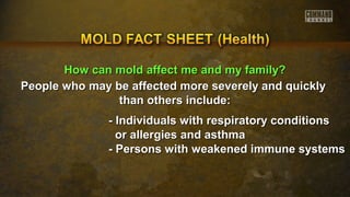 HHooww ccaann mmoolldd aaffffeecctt mmee aanndd mmyy ffaammiillyy?? 
People who may be affected more severely aanndd qquuiicckkllyy 
tthhaann ootthheerrss iinncclluuddee:: 
-- IInnddiivviidduuaallss wwiitthh rreessppiirraattoorryy ccoonnddiittiioonnss 
oorr aalllleerrggiieess aanndd aasstthhmmaa 
-- PPeerrssoonnss wwiitthh wweeaakkeenneedd iimmmmuunnee ssyysstteemmss 
 