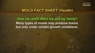 HHooww ccaann mmoolldd aaffffeecctt mmee aanndd mmyy ffaammiillyy?? 
Many types of molds mmaayy pprroodduuccee ttooxxiinnss 
bbuutt oonnllyy uunnddeerr cceerrttaaiinn ggrroowwtthh ccoonnddiittiioonnss.. 
 