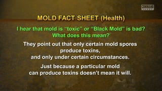 II hheeaarr tthhaatt mmoolldd iiss ““ttooxxiicc”” oorr ““BBllaacckk MMoolldd”” iiss bbaadd?? 
WWhhaatt ddooeess tthhiiss mmeeaann?? 
They point out that only certain mmoolldd ssppoorreess 
pprroodduuccee ttooxxiinnss,, 
aanndd oonnllyy uunnddeerr cceerrttaaiinn cciirrccuummssttaanncceess.. 
JJuusstt bbeeccaauussee aa ppaarrttiiccuullaarr mmoolldd 
ccaann pprroodduuccee ttooxxiinnss ddooeessnn’’tt mmeeaann iitt wwiillll.. 
 
