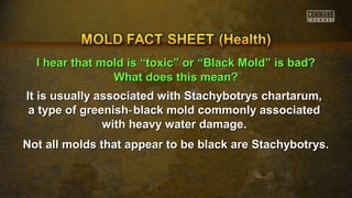II hheeaarr tthhaatt mmoolldd iiss ““ttooxxiicc”” oorr ““BBllaacckk MMoolldd”” iiss bbaadd?? 
WWhhaatt ddooeess tthhiiss mmeeaann?? 
It is usually associated with Stachybotrys cchhaarrttaarruumm,, 
aa ttyyppee ooff ggrreeeenniisshh‐‐bbllaacckk mmoolldd ccoommmmoonnllyy aassssoocciiaatteedd 
wwiitthh hheeaavvyy wwaatteerr ddaammaaggee.. 
NNoott aallll mmoollddss tthhaatt aappppeeaarr ttoo bbee bbllaacckk aarree SSttaacchhyybboottrryyss.. 
 