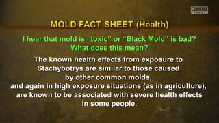 II hheeaarr tthhaatt mmoolldd iiss ““ttooxxiicc”” oorr ““BBllaacckk MMoolldd”” iiss bbaadd?? 
WWhhaatt ddooeess tthhiiss mmeeaann?? 
The known health effects ffrroomm eexxppoossuurree ttoo 
SSttaacchhyybboottrryyss aarree ssiimmiillaarr ttoo tthhoossee ccaauusseedd 
bbyy ootthheerr ccoommmmoonn mmoollddss,, 
aanndd aaggaaiinn iinn hhiigghh eexxppoossuurree ssiittuuaattiioonnss ((aass iinn aaggrriiccuullttuurree)),, 
aarree kknnoowwnn ttoo bbee aassssoocciiaatteedd wwiitthh sseevveerree hheeaalltthh eeffffeeccttss 
iinn ssoommee ppeeooppllee.. 
 