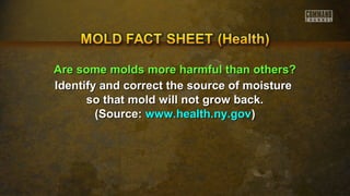 AArree ssoommee mmoollddss mmoorree hhaarrmmffuull tthhaann ootthheerrss?? 
Identify and correct the ssoouurrccee ooff mmooiissttuurree 
ssoo tthhaatt mmoolldd wwiillll nnoott ggrrooww bbaacckk.. 
((SSoouurrccee:: wwwwww..hheeaalltthh..nnyy..ggoovv)) 
 