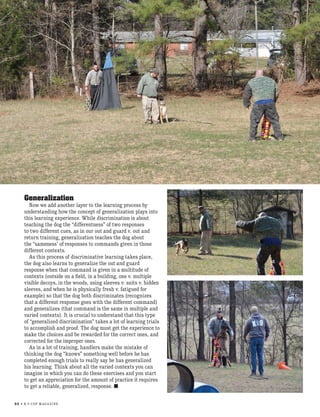 Generalize Dog Example K9 Obedience: Command Genralization and Discrimination | PDF