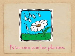 N’arrose pas les plantes.