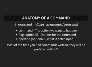 Command line for the beginner - Using the command line in developing ...