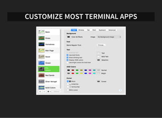 CUSTOMIZE MOST TERMINAL APPS
 