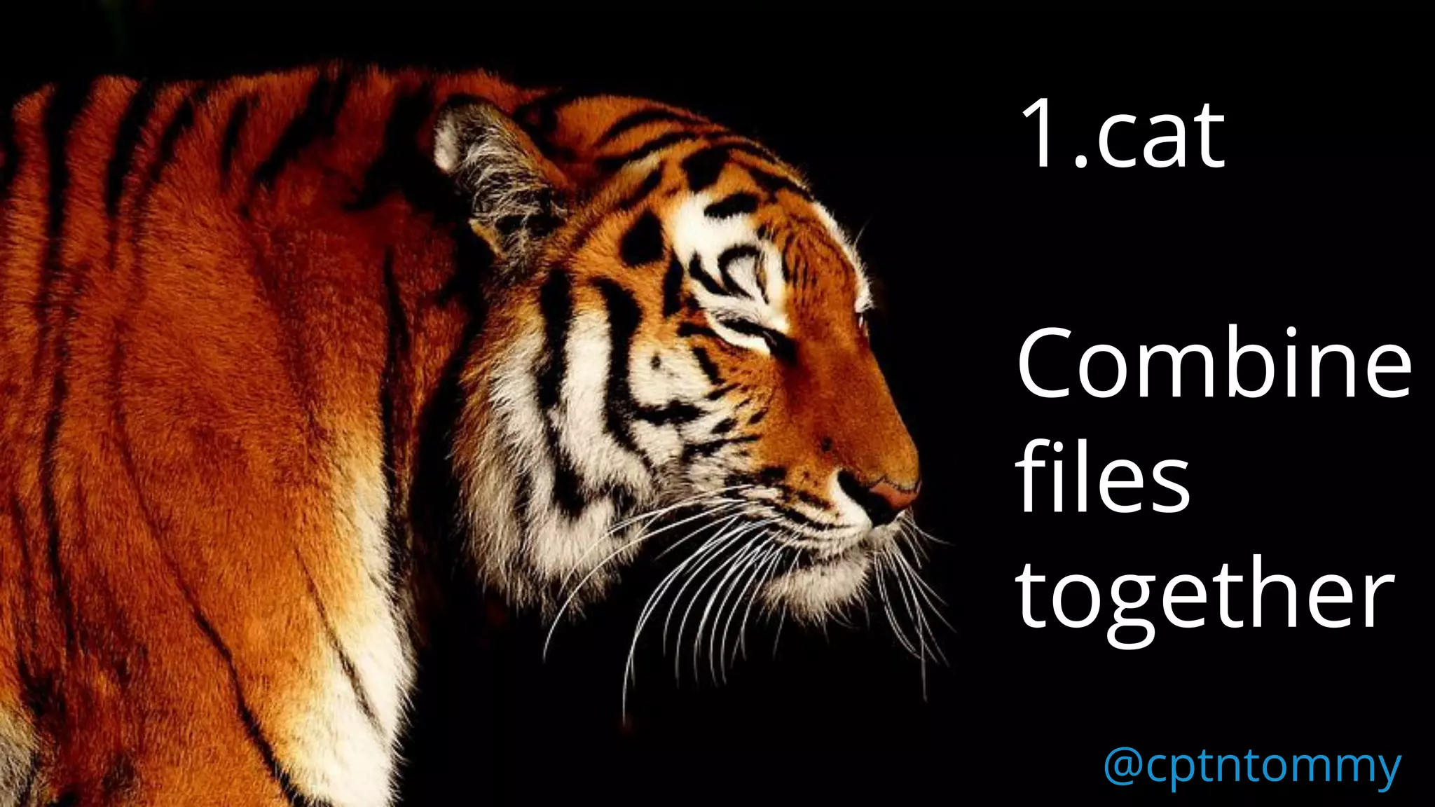 @cptntommy
1.cat
Combine
files
together
 