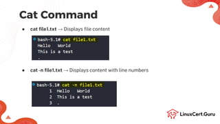 Command Line Text Processing - RHCSA +.pdf