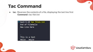 Command Line Text Processing - RHCSA +.pdf