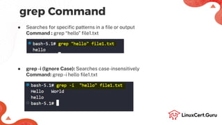 Command Line Text Processing - RHCSA +.pdf