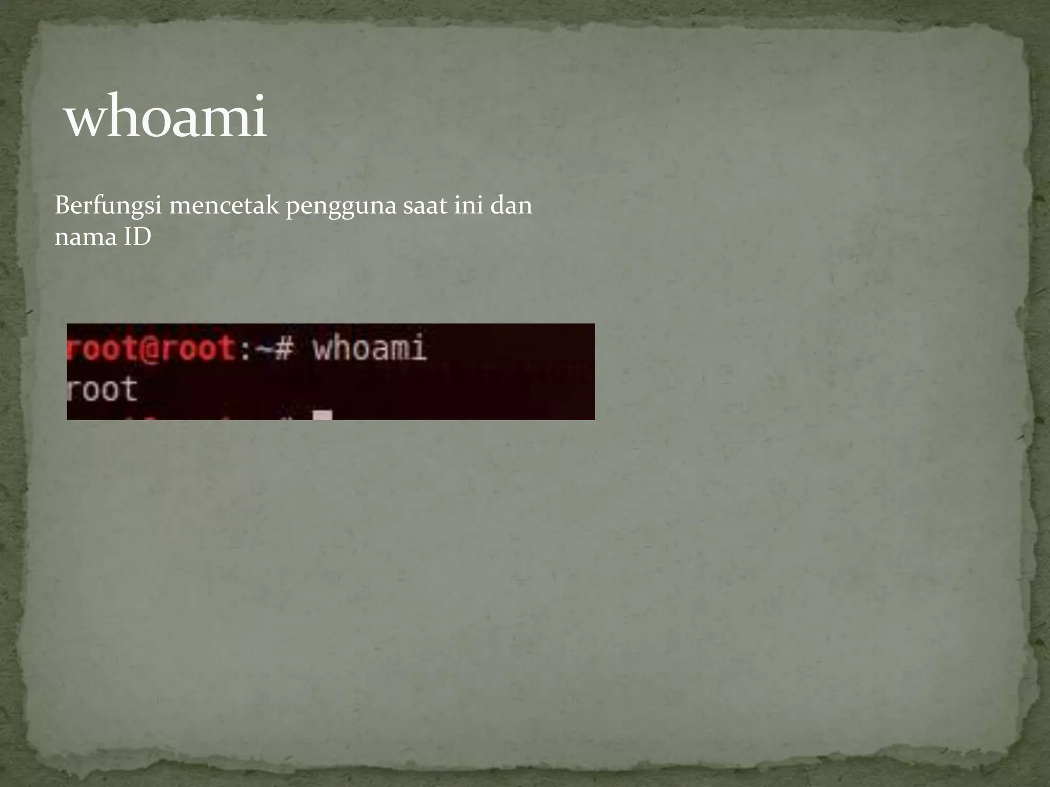 Berfungsi mencetak pengguna saat ini dan
nama ID
 