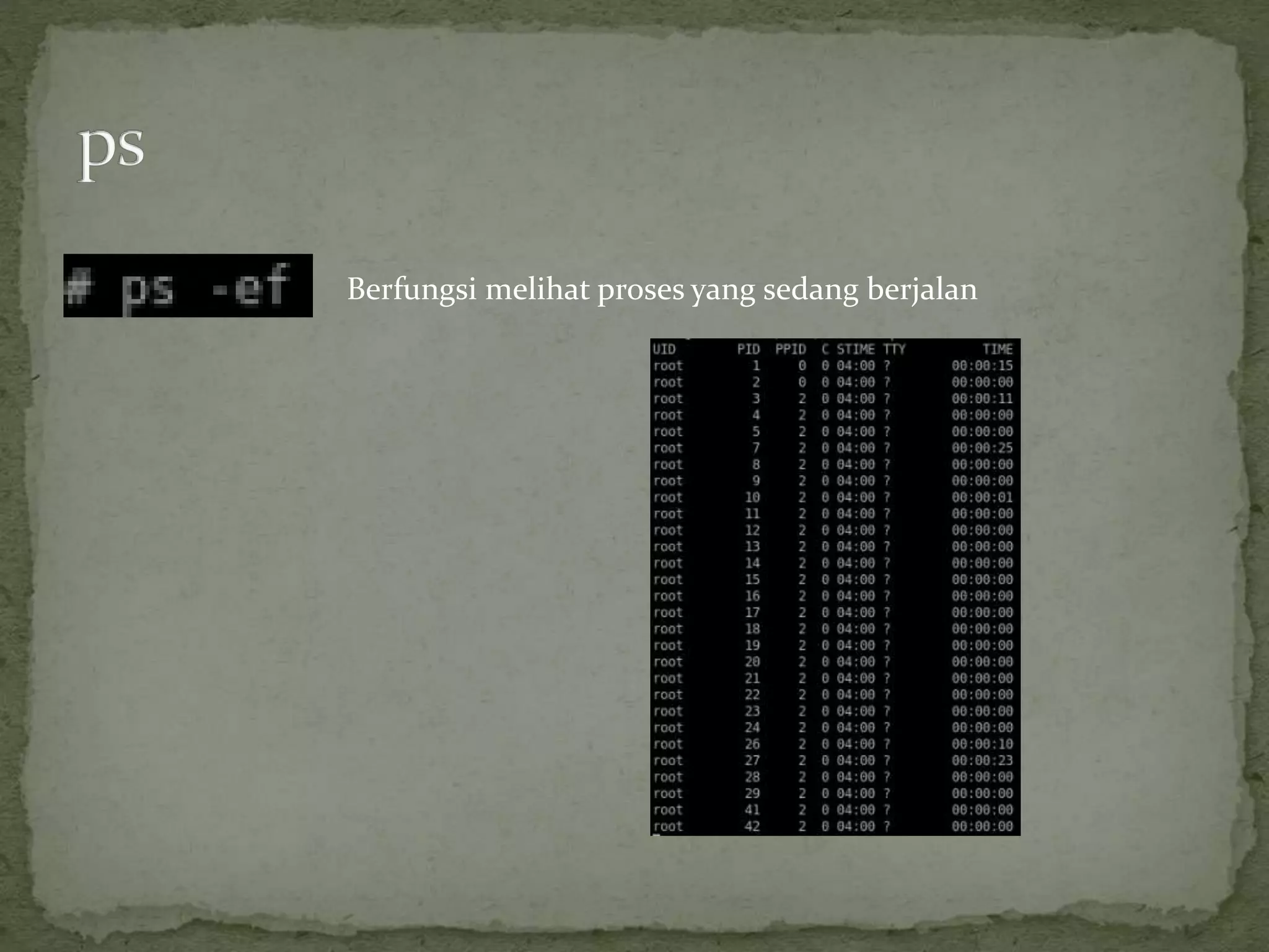 Berfungsi melihat proses yang sedang berjalan
 