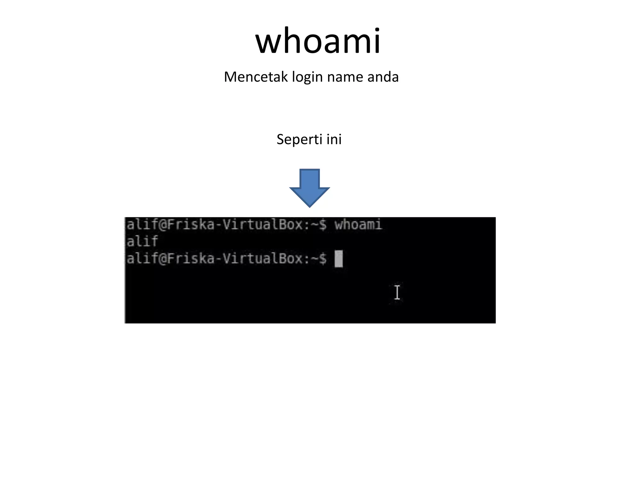 whoami
Mencetak login name anda
Seperti ini
 