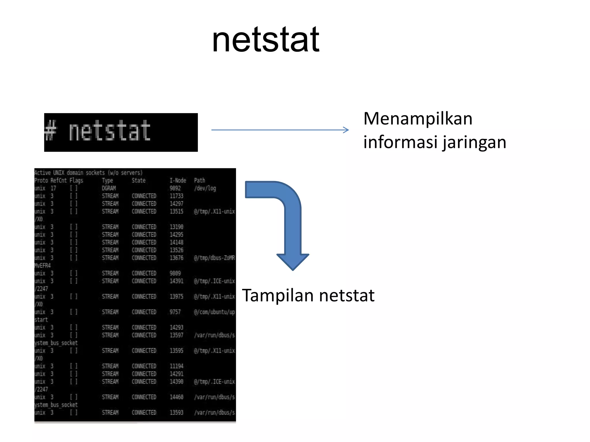 netstat
Menampilkan
informasi jaringan
Tampilan netstat
 