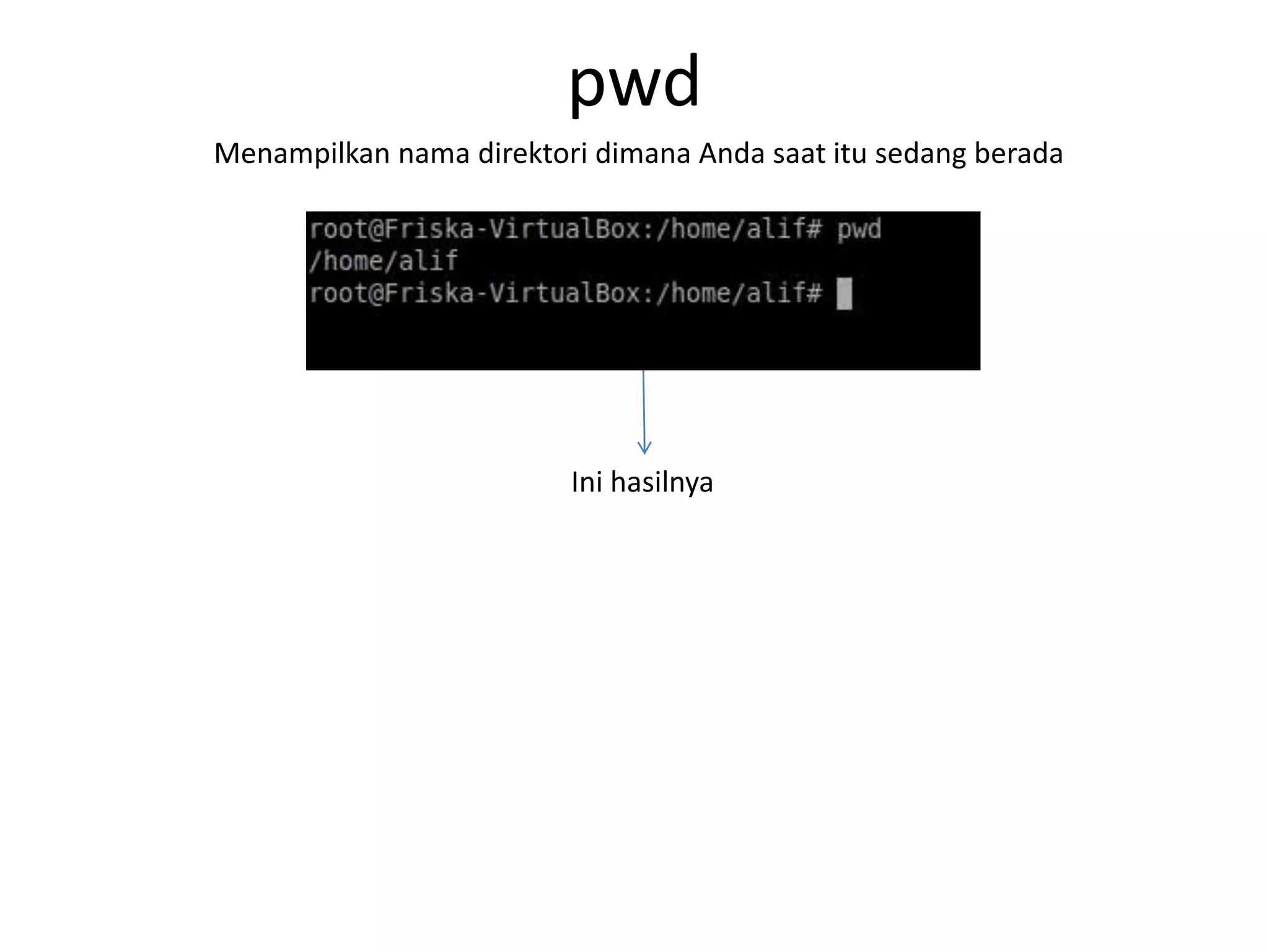 pwd
Menampilkan nama direktori dimana Anda saat itu sedang berada
Ini hasilnya
 