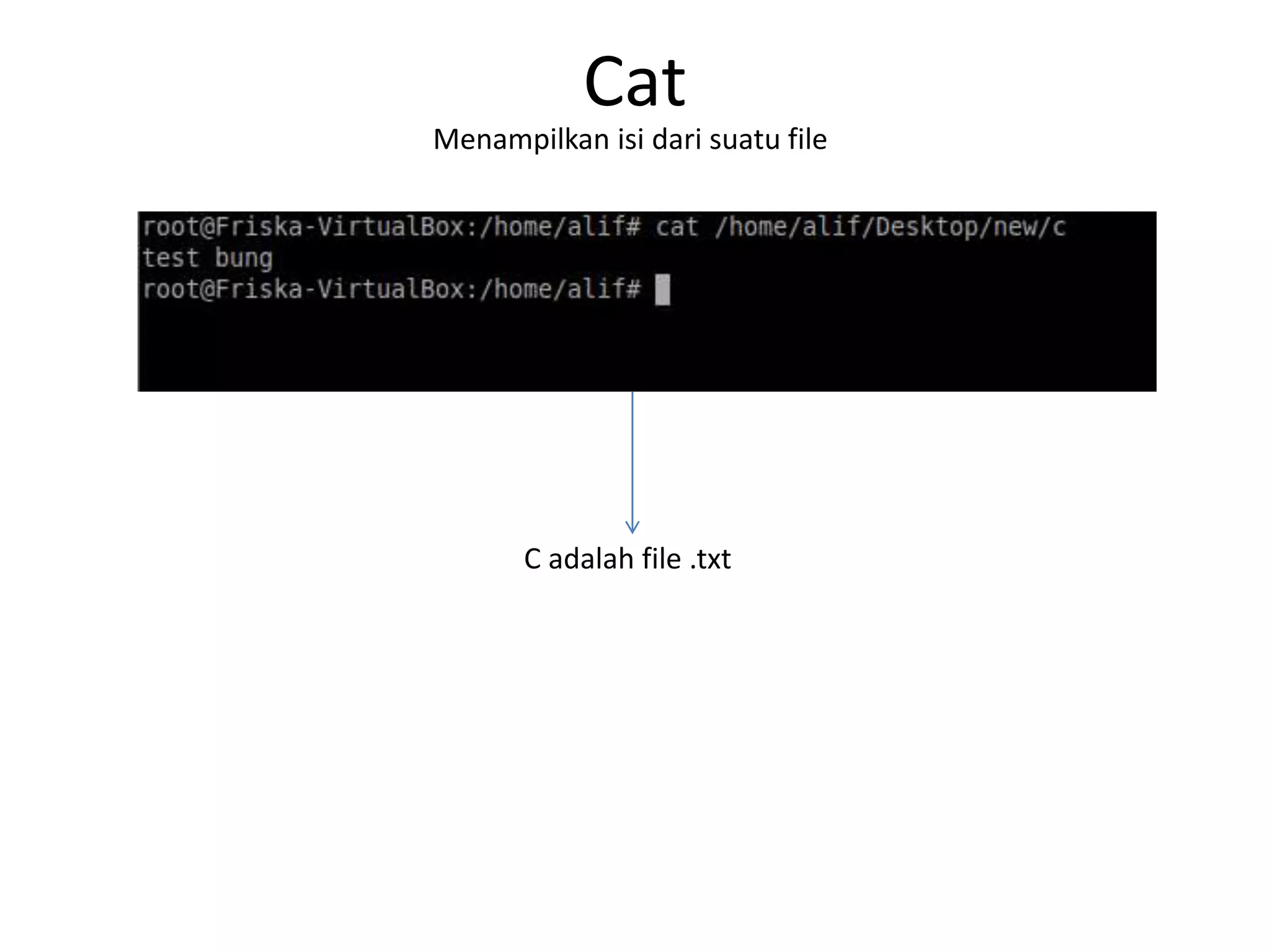 Cat
Menampilkan isi dari suatu file
C adalah file .txt
 