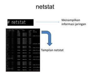 netstat
Menampilkan
informasi jaringan
Tampilan netstat
 