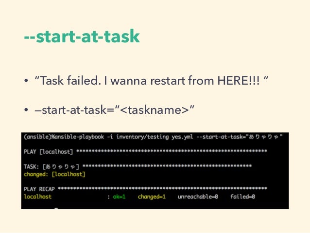 Ansible playbook Useful Command Line Options
