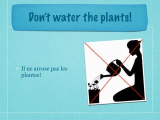 Don’t water the plants!



Il ne arrose pas les
plantes!
 
