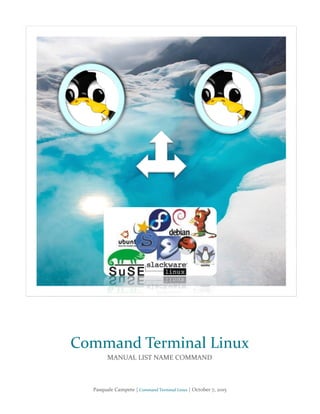 Pasquale Campete | Command Terminal Linux | October 7, 2015
Command Terminal Linux
MANUAL LIST NAME COMMAND
 