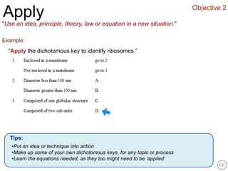 Objective 2
Apply
"Use an idea, principle, theory, law or equation in a new situation."

Example:
  “Apply the dichotomous key to identify ribosomes.”




   Tips:
   •Put an idea or technique into action
   •Make up some of your own dichotomous keys, for any topic or process
   •Learn the equations needed, as they too might need to be ‘applied’
 