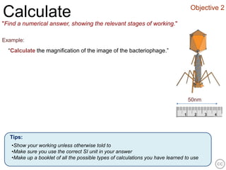 Objective 2
Calculate
"Find a numerical answer, showing the relevant stages of working."

Example:
  “Calculate the magnification of the image of the bacteriophage.”




                                                                                  50nm




  Tips:
   •Show your working unless otherwise told to
   •Make sure you use the correct SI unit in your answer
   •Make up a booklet of all the possible types of calculations you have learned to use
 