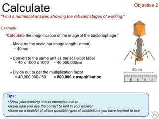 Objective 2
Calculate
"Find a numerical answer, showing the relevant stages of working."

Example:
  “Calculate the magnification of the image of the bacteriophage.”

    - Measure the scale bar image length (in mm)
      = 40mm

    - Convert to the same unit as the scale bar label
       = 40 x 1000 x 1000 = 40,000,000nm
                                                                                  50nm
    - Divide out to get the multiplication factor
       = 40,000,000 / 50     = 800,000 x magnification



  Tips:
   •Show your working unless otherwise told to
   •Make sure you use the correct SI unit in your answer
   •Make up a booklet of all the possible types of calculations you have learned to use
 