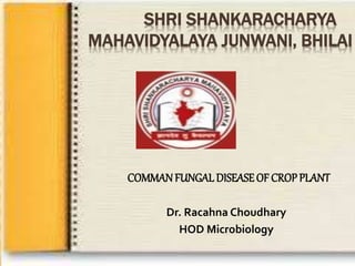 SHRI SHANKARACHARYA
MAHAVIDYALAYA JUNWANI, BHILAI
COMMANFUNGALDISEASEOF CROPPLANT
Dr. Racahna Choudhary
HOD Microbiology
 